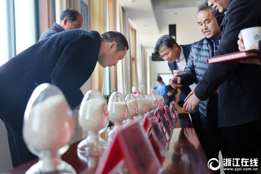 新玩法巔峰之戰(zhàn)《?；ǖ馁N身高手》強(qiáng)者對決